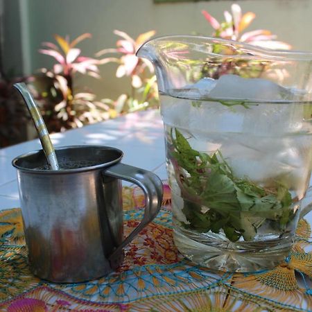 Hamaca Paraguaya Hostel Asunción Zewnętrze zdjęcie
