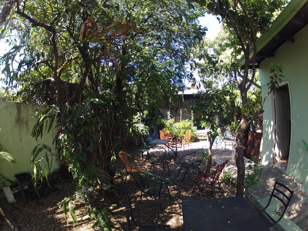 Hamaca Paraguaya Hostel Asunción Zewnętrze zdjęcie