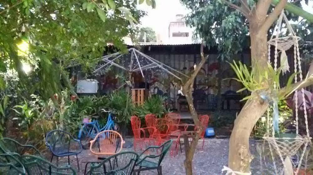 Hamaca Paraguaya Hostel Asunción Zewnętrze zdjęcie